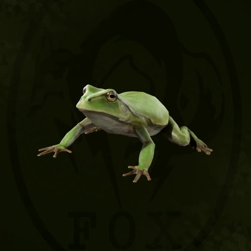 メタルギアデルタ_アマガエル_アイコン